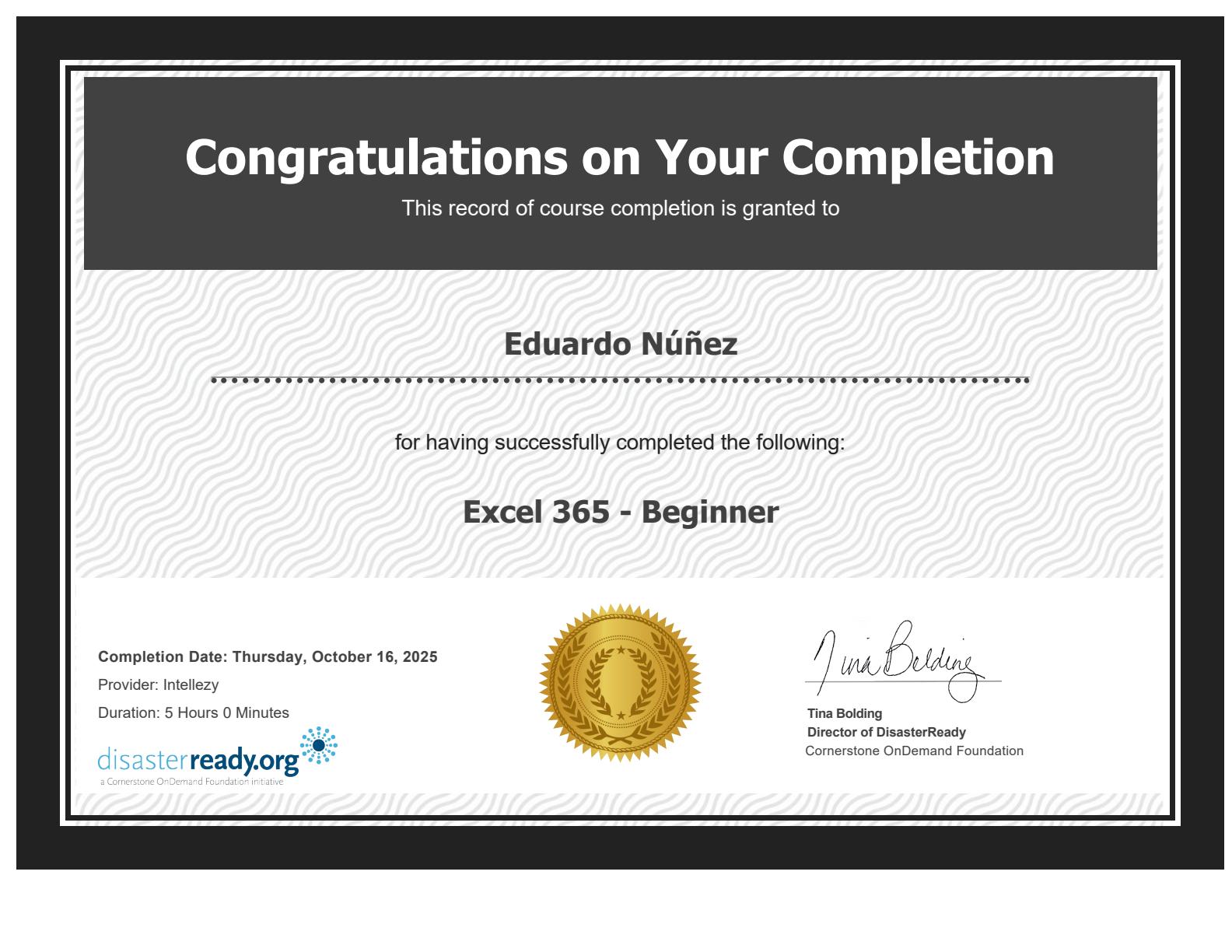 Excel 365 - Beginner